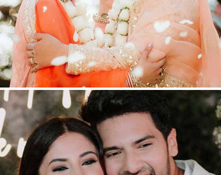 Armaan Malik and Aashna Shroffs Magical Wedding Photos