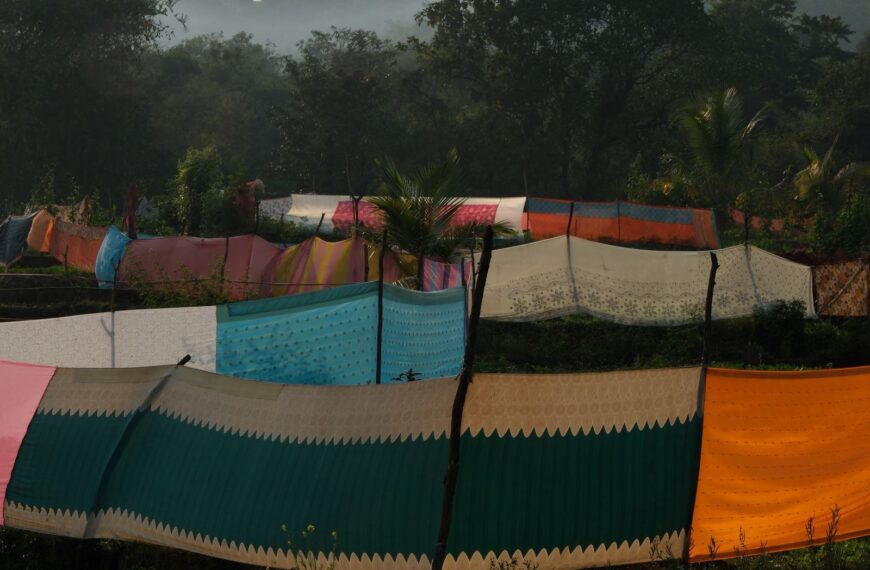 In rural India, kaleidoscopic saris protect precious crops