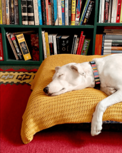 This small bookstore in Delhi has grand plans&hellip;