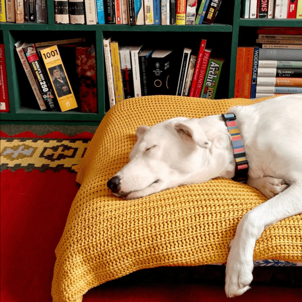 This small bookstore in Delhi has grand plans&hellip;
