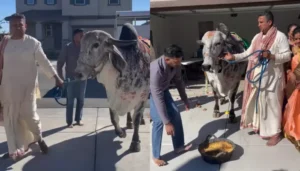 Indian-Origin Family In California Brought A Cow For&hellip;