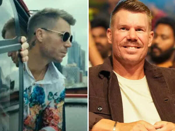 How much did Australian cricketer David Warner charge for his cameo in Robinhood?