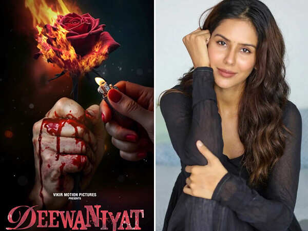 Sonam Bajwa to star alongside Harshvardhan Rane in&hellip;