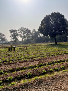A farm in Raipur changed the way I&hellip;