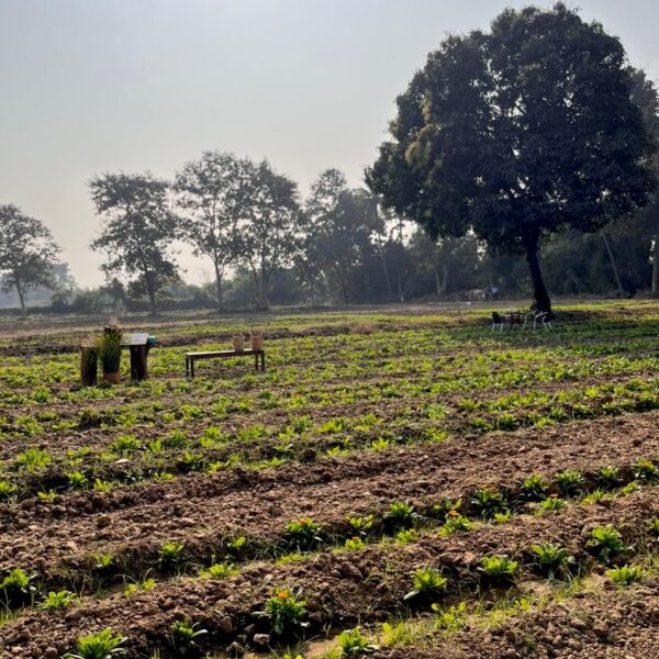 A farm in Raipur changed the way I&hellip;