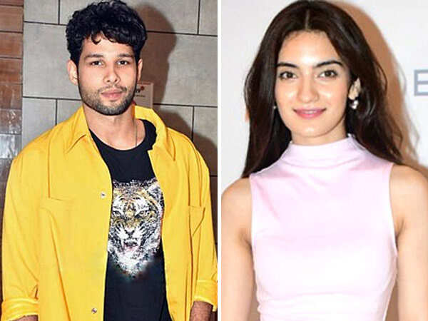 Siddhant Chaturvedi Denies Reports of Starring in Hindi&hellip;