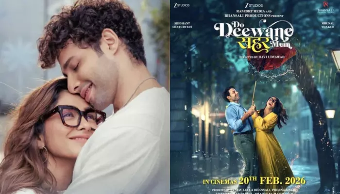 ‘Do Deewane Seher Mein’ Ending Explained, Do Roshni…