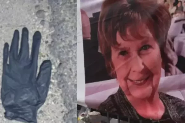 Nancy Guthrie Missing Case Latest Discovery, Arizona Couple&hellip;