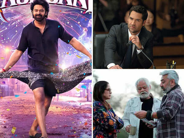 Everything We Are Watching This Week: Vadh 2 and More