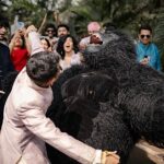 Why are Indian weddings with dancing gorillas going viral?