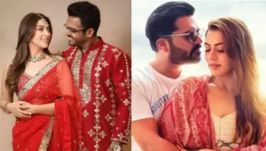 Hansika Motwani VS Sohael Khaturiya Net Worth, Find&hellip;