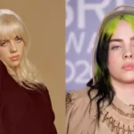 Billie Eilish’s Alleged Stalker Dies In Horrific Train Accident, All We Know About Prenell Rousseau