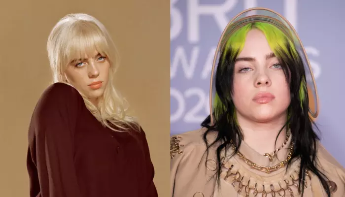 Billie Eilish’s Alleged Stalker Dies In Horrific Train Accident, All We Know About Prenell Rousseau