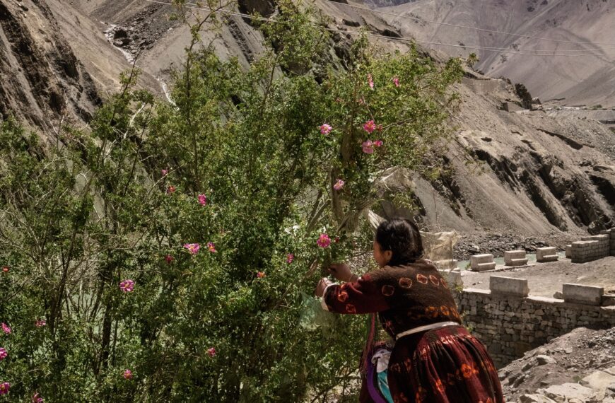 The best thing to bring back from your travels? Hobbymaxxing