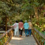 The happiest women in their 70s are single