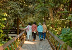 The happiest women in their 70s are single