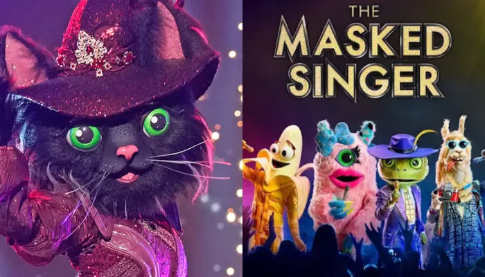 The Masked Singer’s Future Uncertain? All About The Show’s Return For Season 15 And Release Schedule