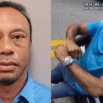 Tiger Woods Arrest: Frantic 911 Call Captures Moments After DUI Crash, ‘Calling To Report…’