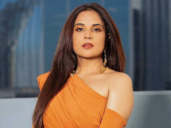 Richa Chadha to Play a Detective in an Upcoming Crime Thriller Series