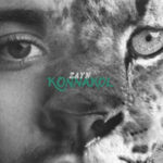 All About Zayn Maliks Album Konnakols Launch Party