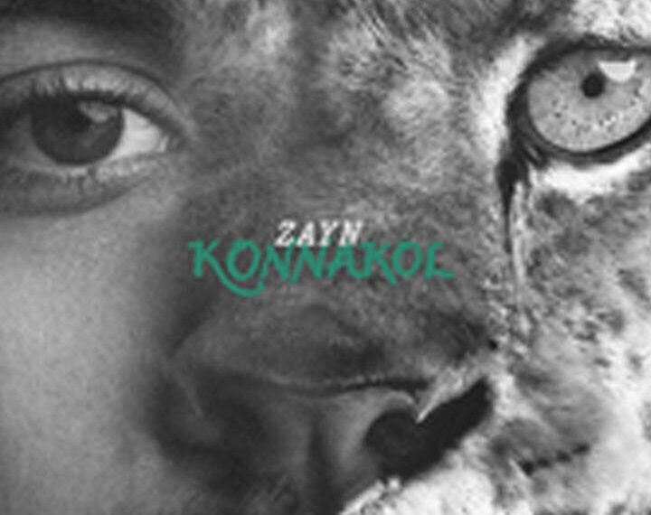 All About Zayn Maliks Album Konnakols Launch Party