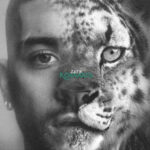 Zayn Releases 5th Studio Album Konnakol