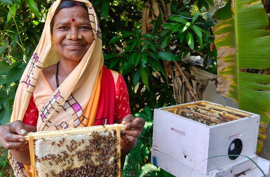 Bees are helping women in&hellip;