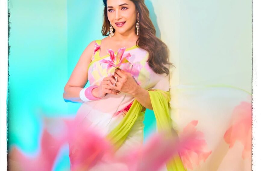 Madhuri Dixit Nene’s chiffon sari…