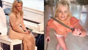 Britney Spears ‘Barked, Yelled And Pointed Knife’ At&hellip;