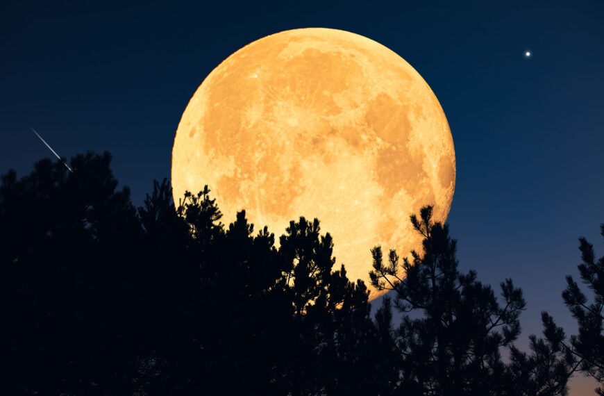 What the strawberry full moon on June 29 means for each zodiac sign