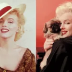 Marilyn Monroe’s Decades Old Bra To Be Auctioned Today! Expected To Sell For Over USD 20,000