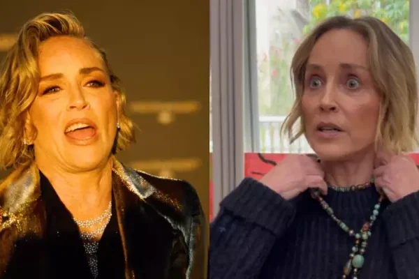 Sharon Stone Divorced Ex-Husband As He Was Upset&hellip;