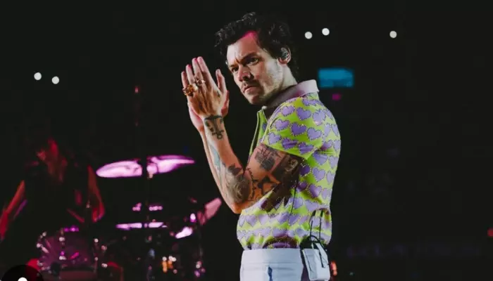 Harry Styles Health Update, Sources Reveal The Real Reason Why ‘As It Was’ Singer Collapsed On Stage