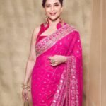 Madhuri Dixit Nene’s sari border features badla-embroidered, sequin-embellished elephants motifs