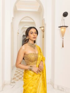 Rakul Preet Singh Kanchipuram sari celebrates traditional ‘muthu&hellip;
