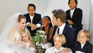 Brad Pitt Loses Custody Of Twins Knox And&hellip;