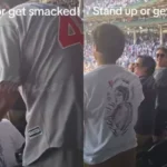 Young Chicago Cubs Fan Got Smacked By Elderly Person, Here’s The Reason, Viral Video Sparks Debate