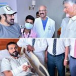 Ram Charan Jr NTR Pawan Kalyan Balakrishna recover from injuries
