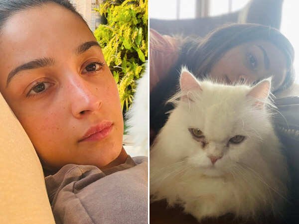 Photos: Alia Bhatt Celebrates International Cat Day With&hellip;