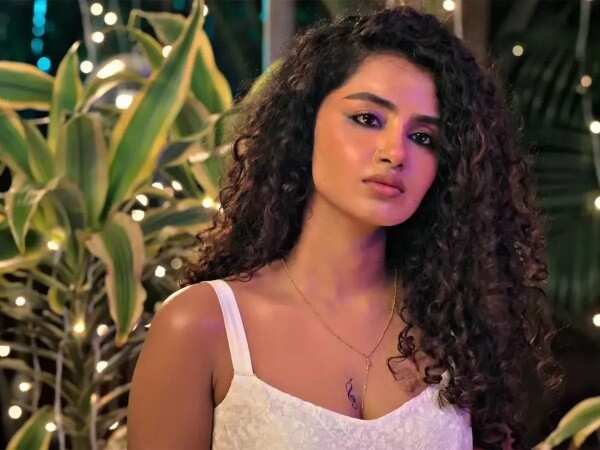 Anupama Parameswaran Breaks Silence on Break Up Rumours…