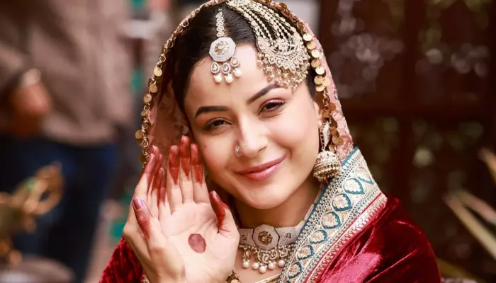 ‘Shehnaaz Gill Ka Punjab Ka Background Kitna Badnaam..’ Aanchal Khurana Opens Up On ‘BB 13’ Star