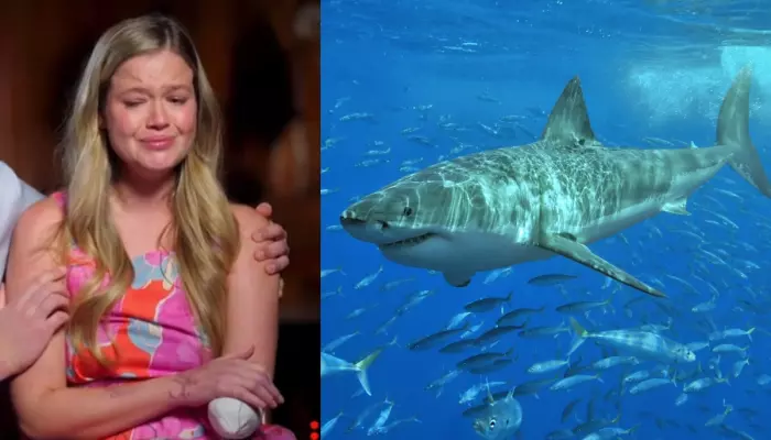 34-YO Mom Fights Back As A Shark Drags Her Down, Survives Near-Fatal Attack, ‘Fought Like Dinosaur’