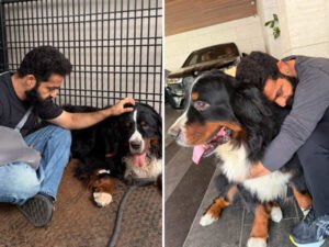 Jr NTR mourns loss of beloved pet dog&hellip;