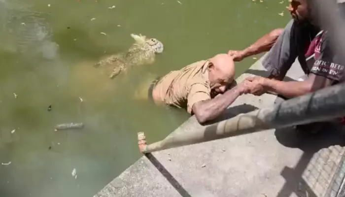 Crocodile Caretaker Dies After Being Attacked, Harrowing Video Surfaces, ‘He Couldn’t Scream..’