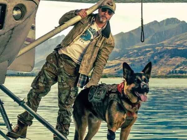 Weâre Less Alone in The World Because of Our Dogsâ: Brad Pitt Talks About The Heart of The Beast